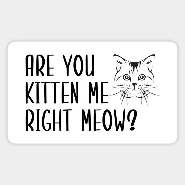 Are You Kitten Me Right Meow Magnet by Health
